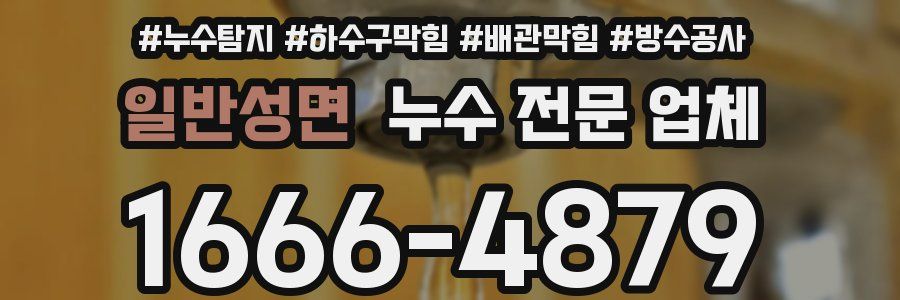 일반성면 누수 전문 업체
