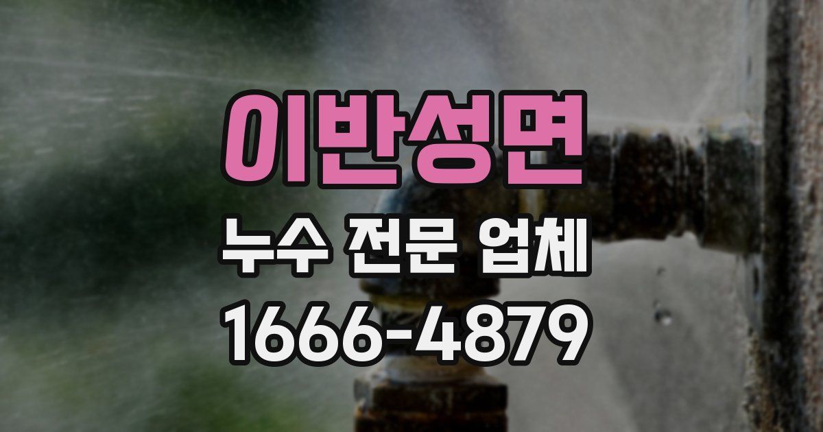 이반성면 누수 전문 업체