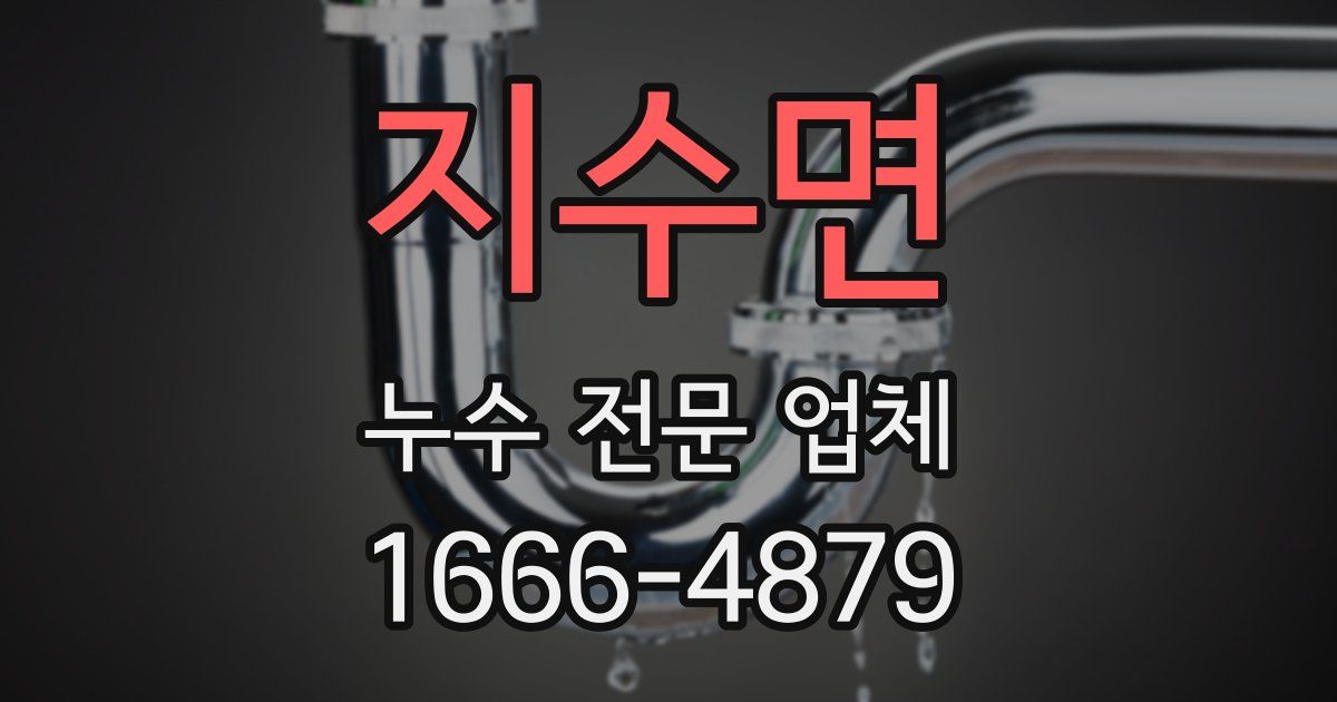 지수면 누수 전문 업체