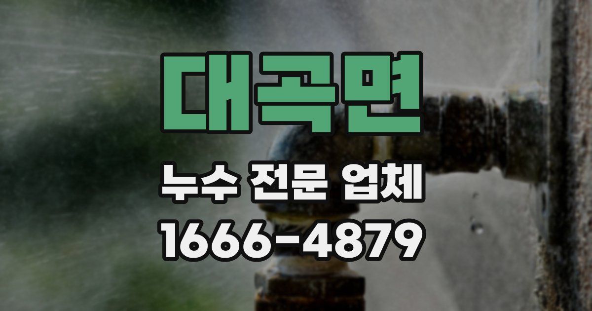 대곡면 누수 전문 업체