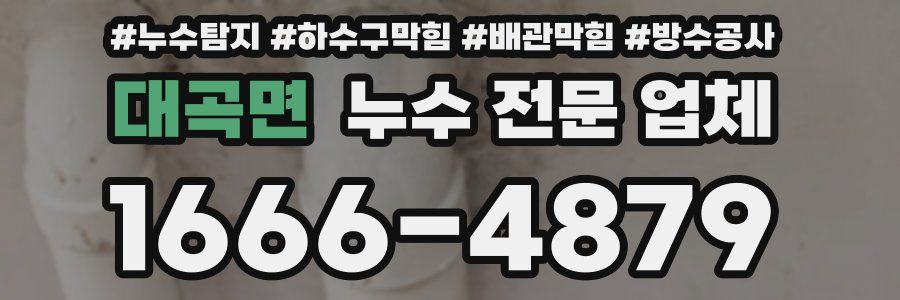 대곡면 누수 전문 업체