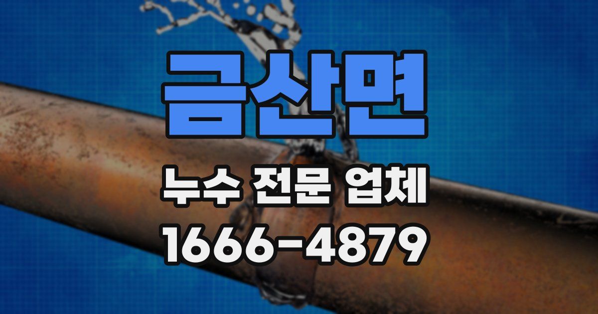 금산면 누수 전문 업체