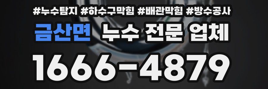 금산면 누수 전문 업체