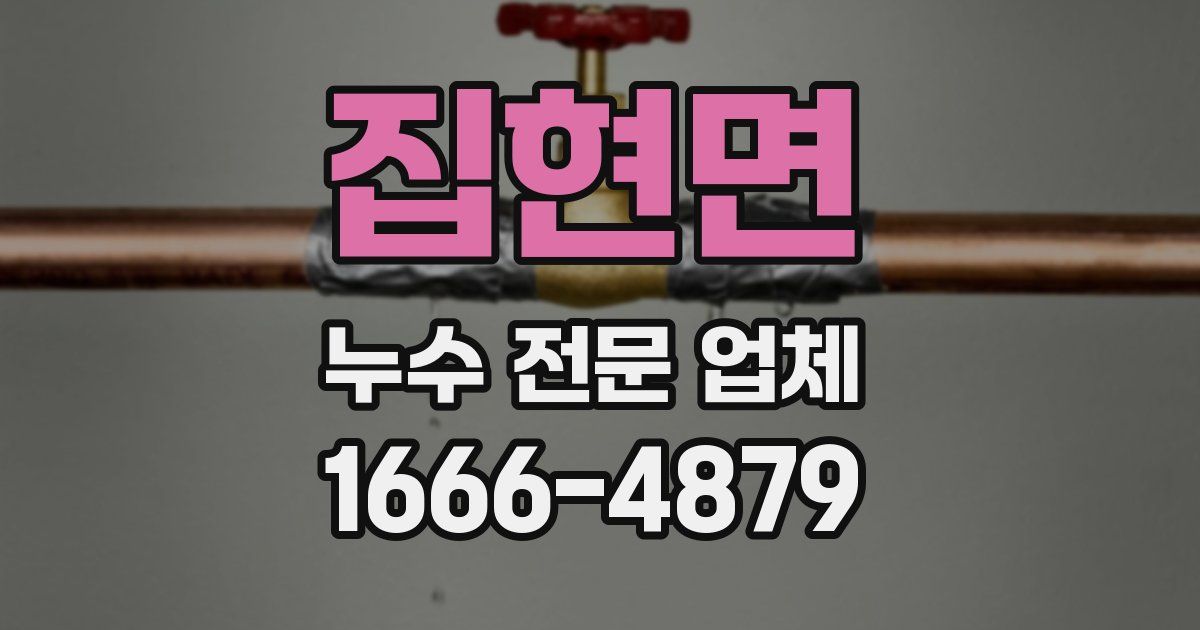 집현면 누수 전문 업체