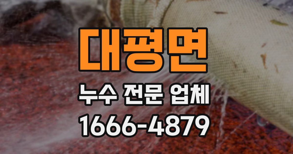 대평면 누수 전문 업체