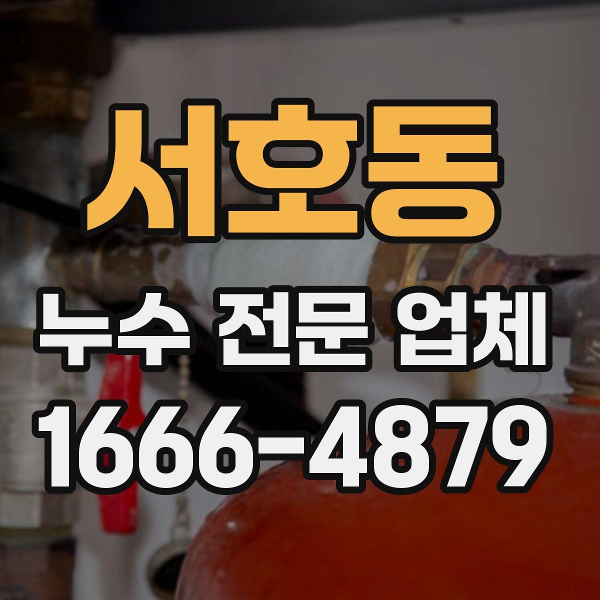 서호동 누수 전문 업체