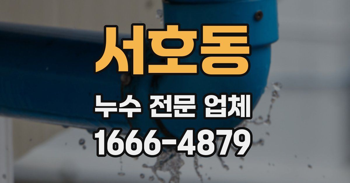 서호동 누수 전문 업체