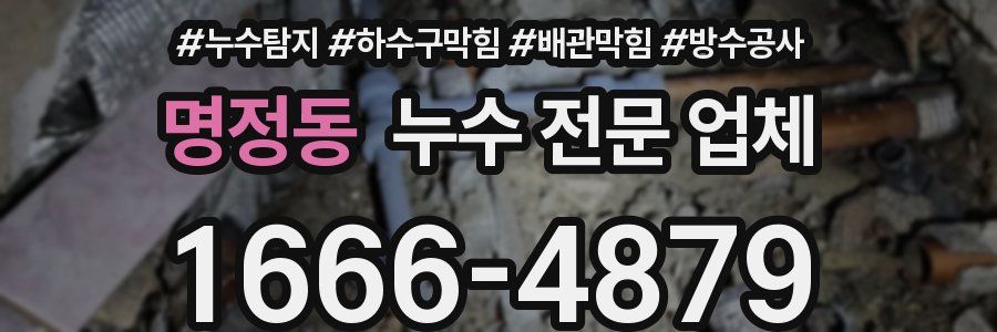 명정동 누수 전문 업체