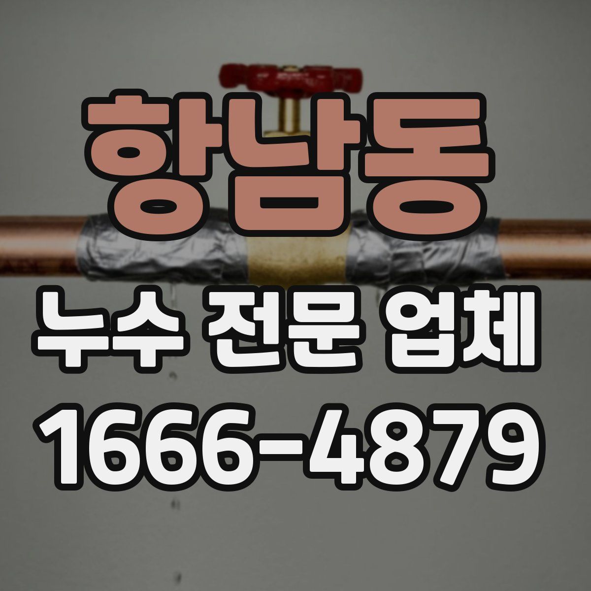항남동 누수 전문 업체