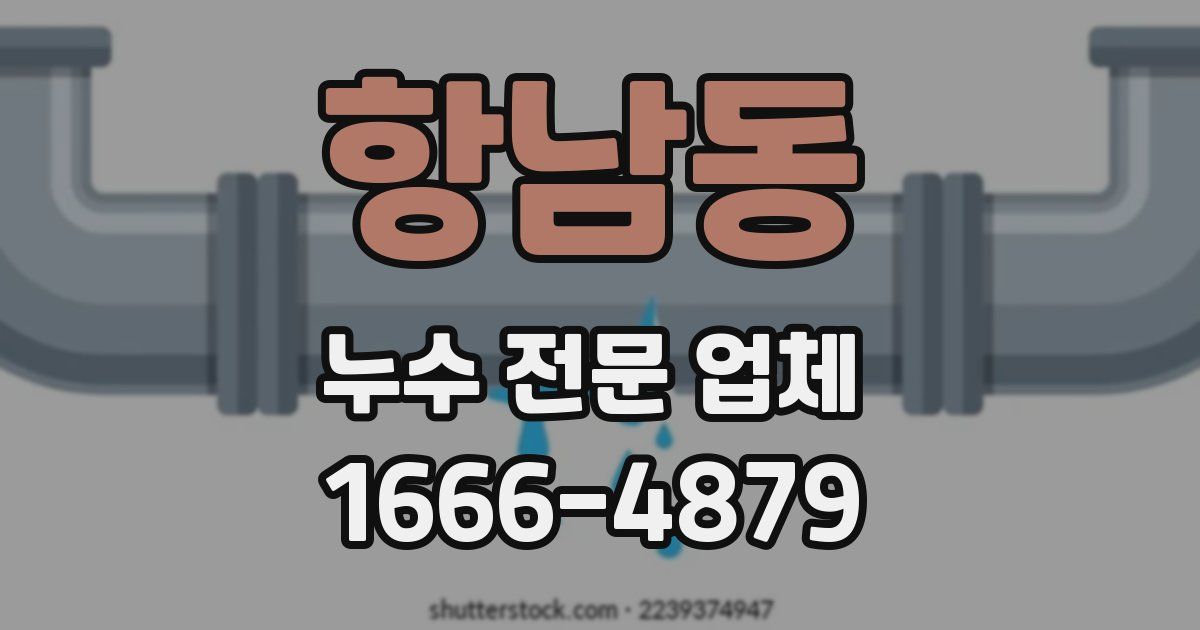 항남동 누수 전문 업체