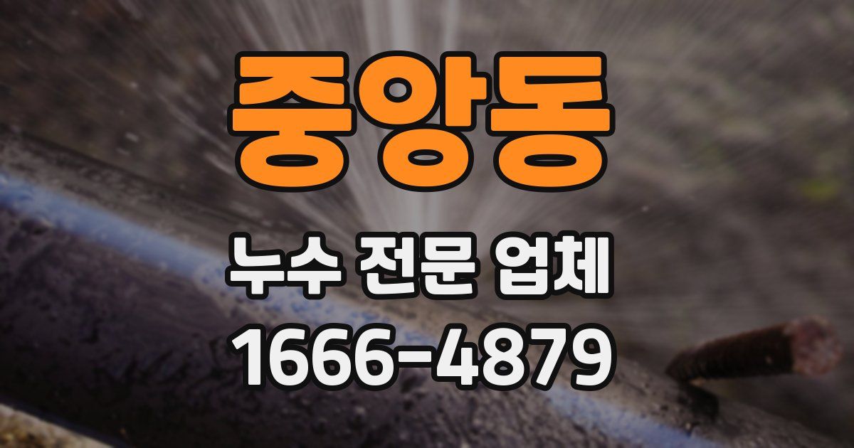 중앙동 누수 전문 업체