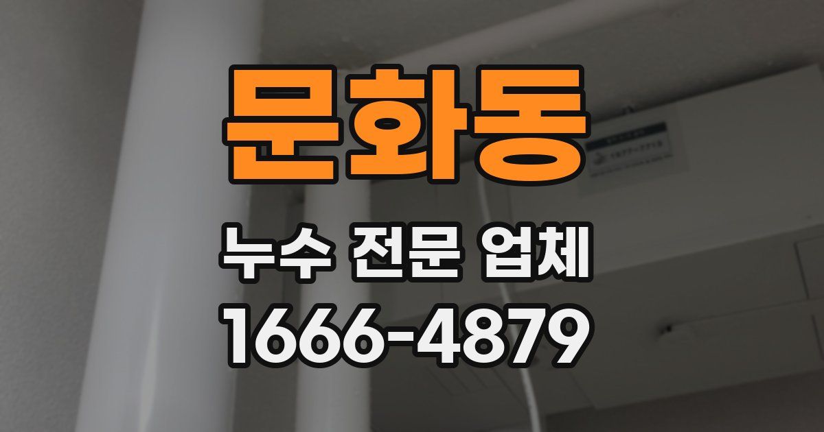 문화동 누수 전문 업체