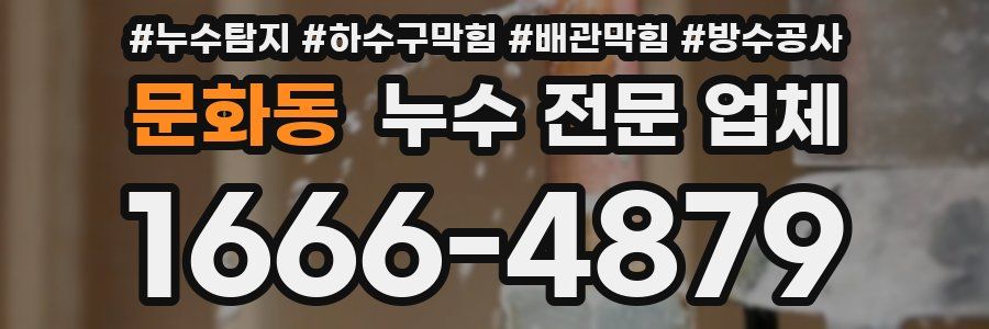 문화동 누수 전문 업체