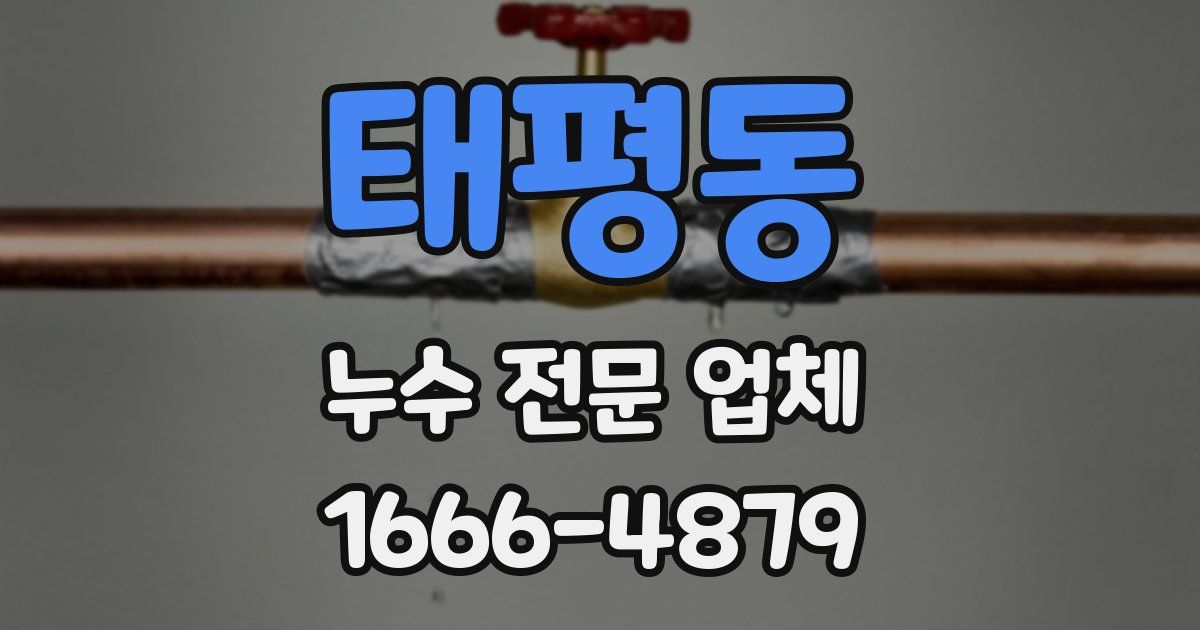 태평동 누수 전문 업체