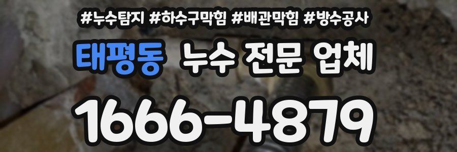 태평동 누수 전문 업체