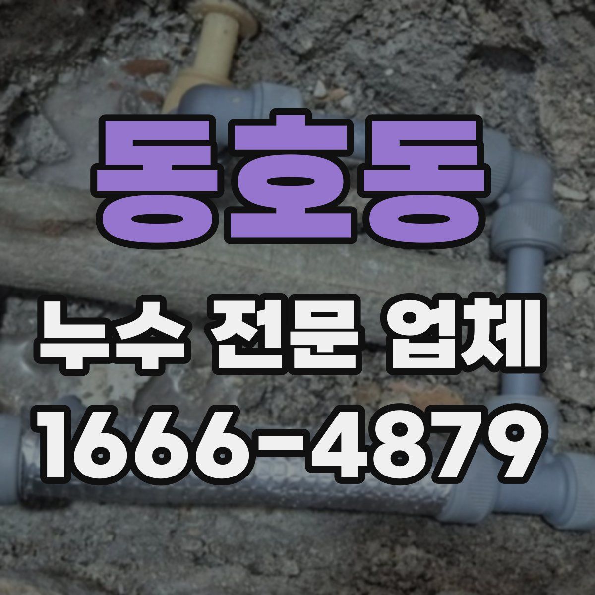 동호동 누수 전문 업체