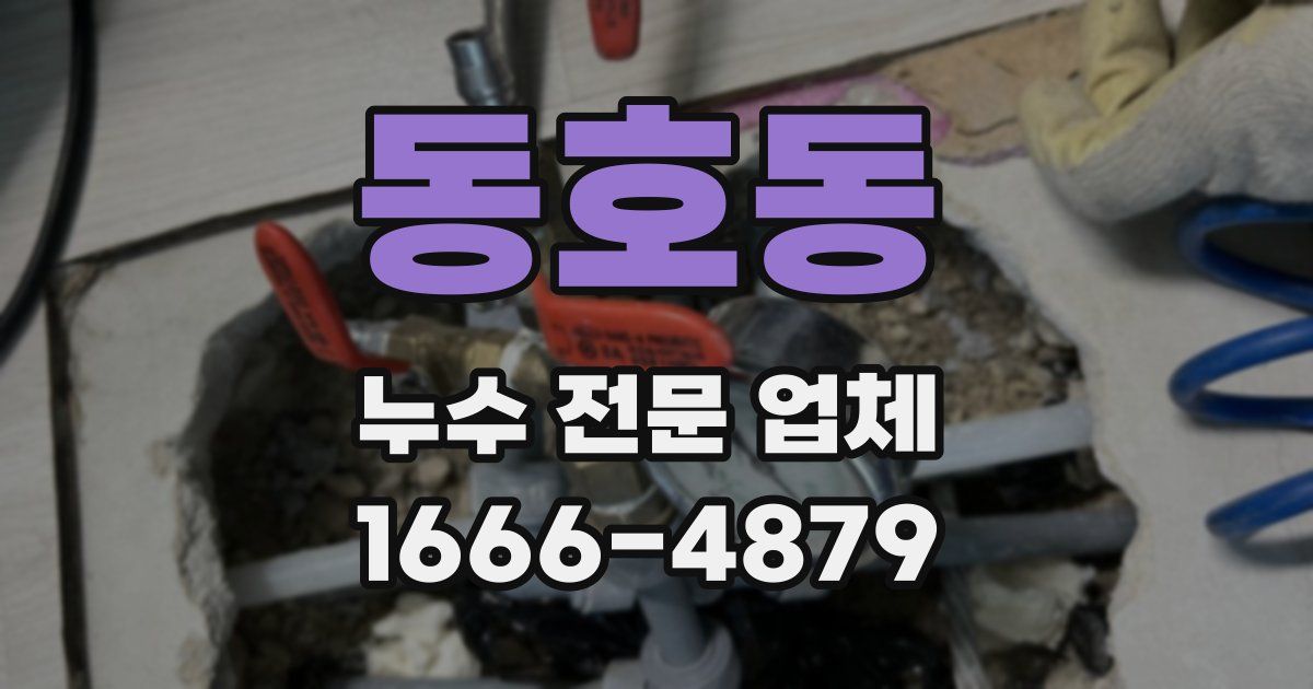 동호동 누수 전문 업체