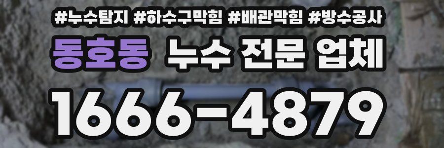 동호동 누수 전문 업체