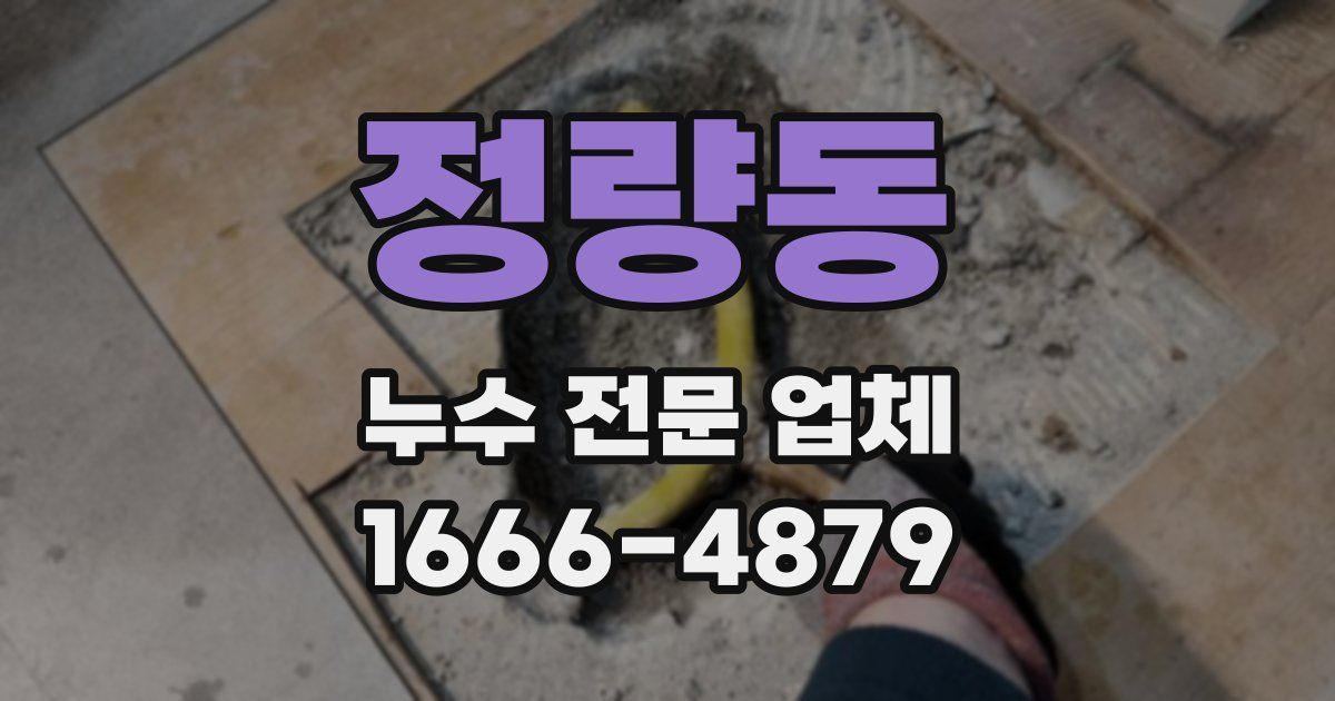 정량동 누수 전문 업체