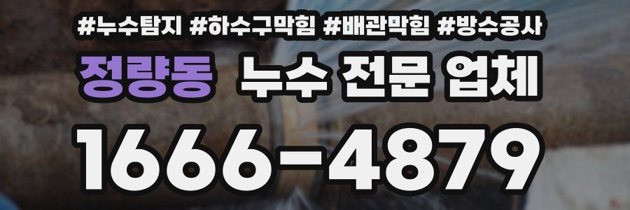 정량동 누수 전문 업체