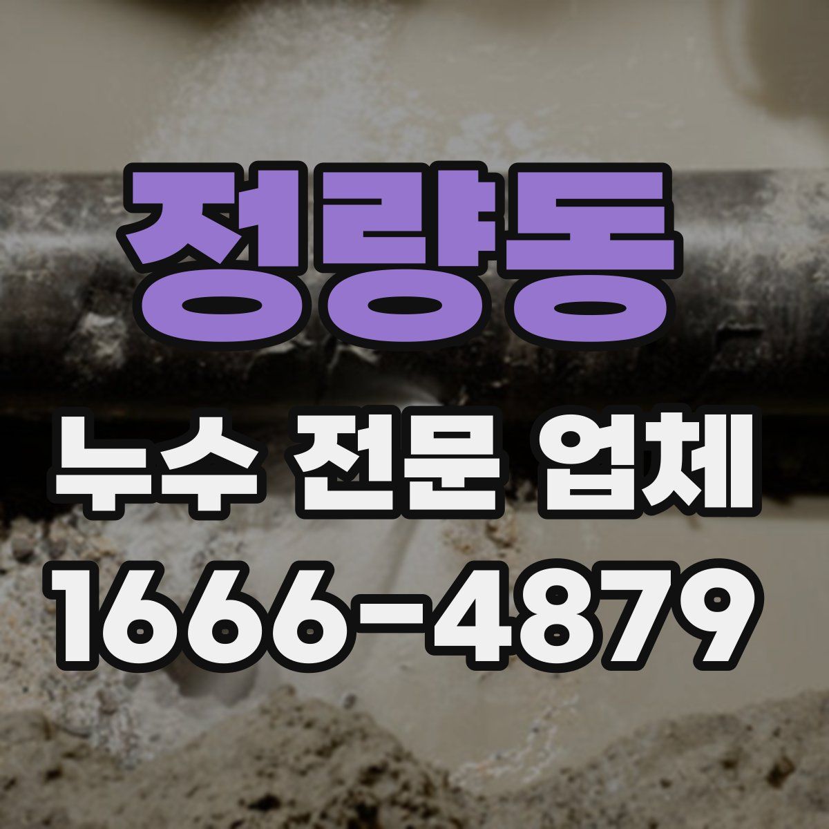 정량동 누수 전문 업체
