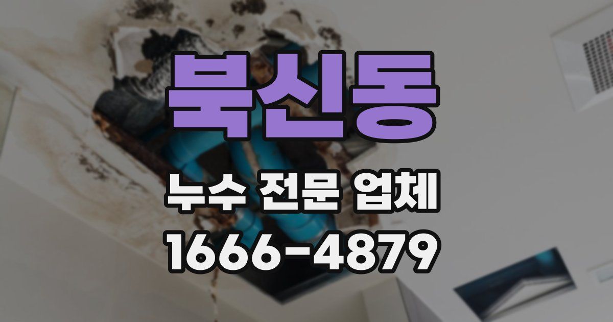 북신동 누수 전문 업체