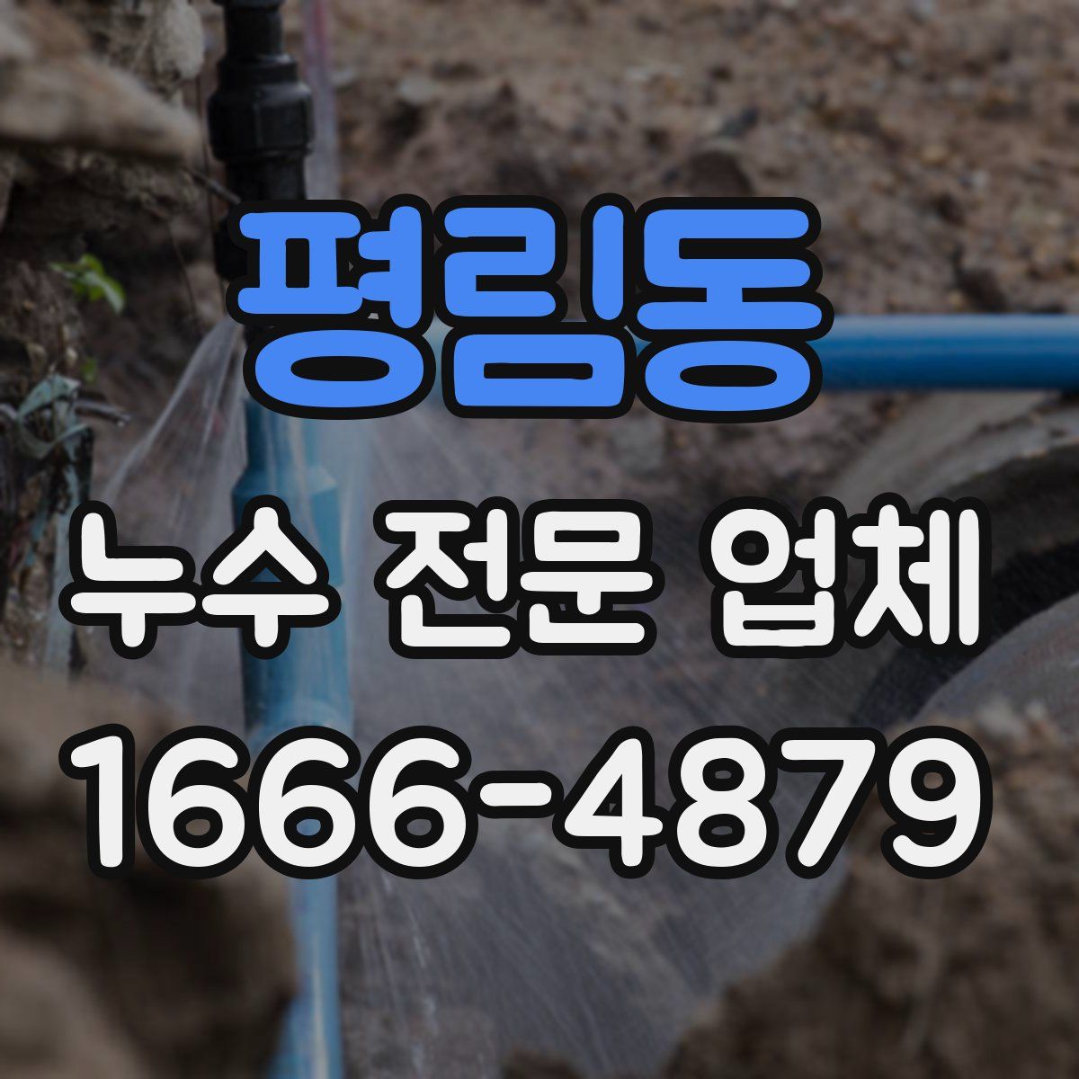 평림동 누수 전문 업체
