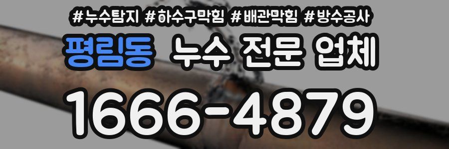 평림동 누수 전문 업체