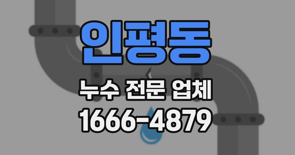 인평동 누수 전문 업체