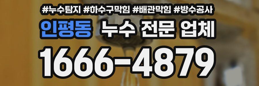 인평동 누수 전문 업체