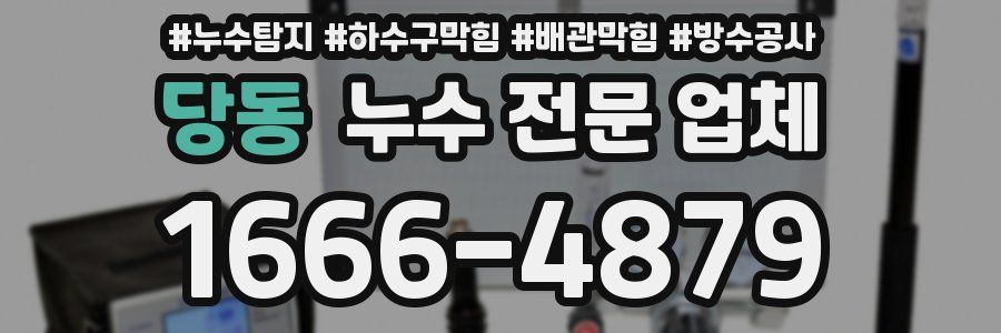 당동 누수 전문 업체