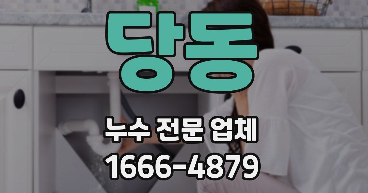 당동 누수 전문 업체