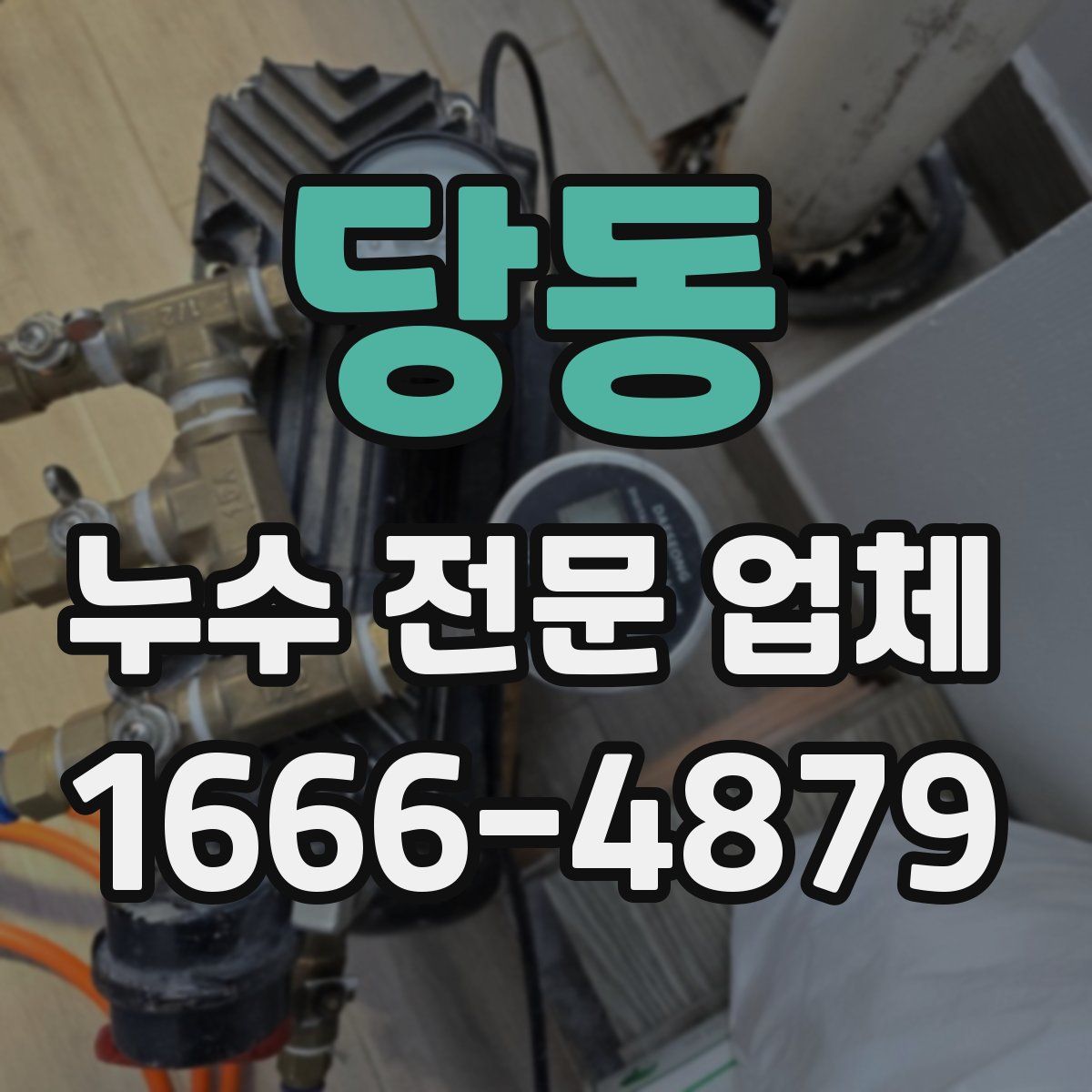 당동 누수 전문 업체