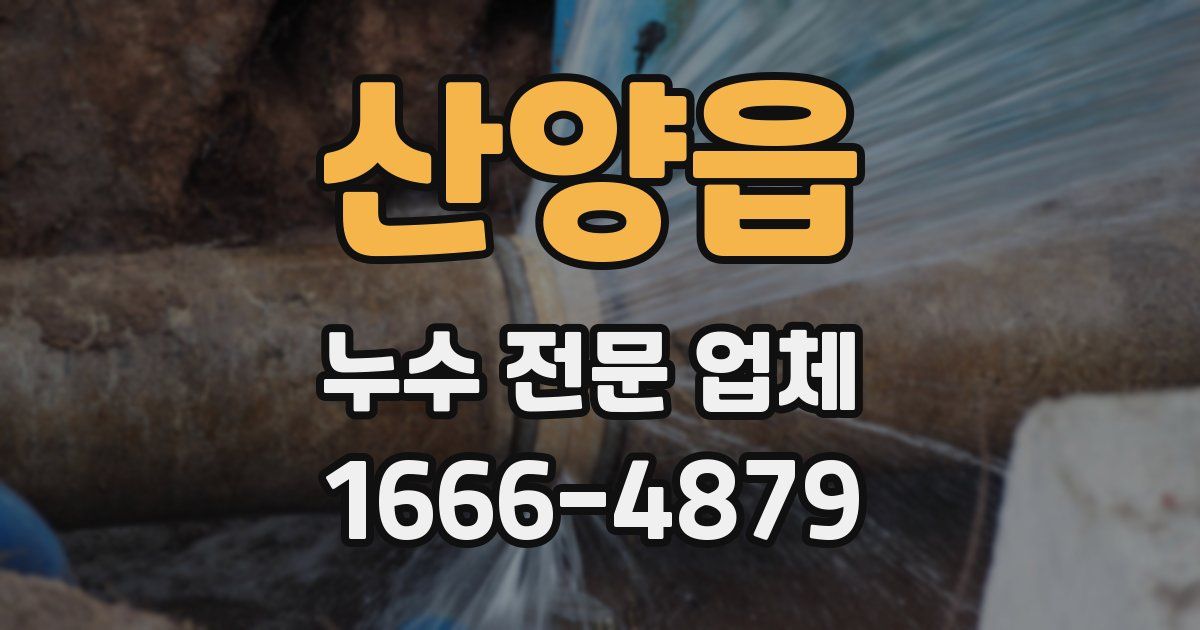 산양읍 누수 전문 업체