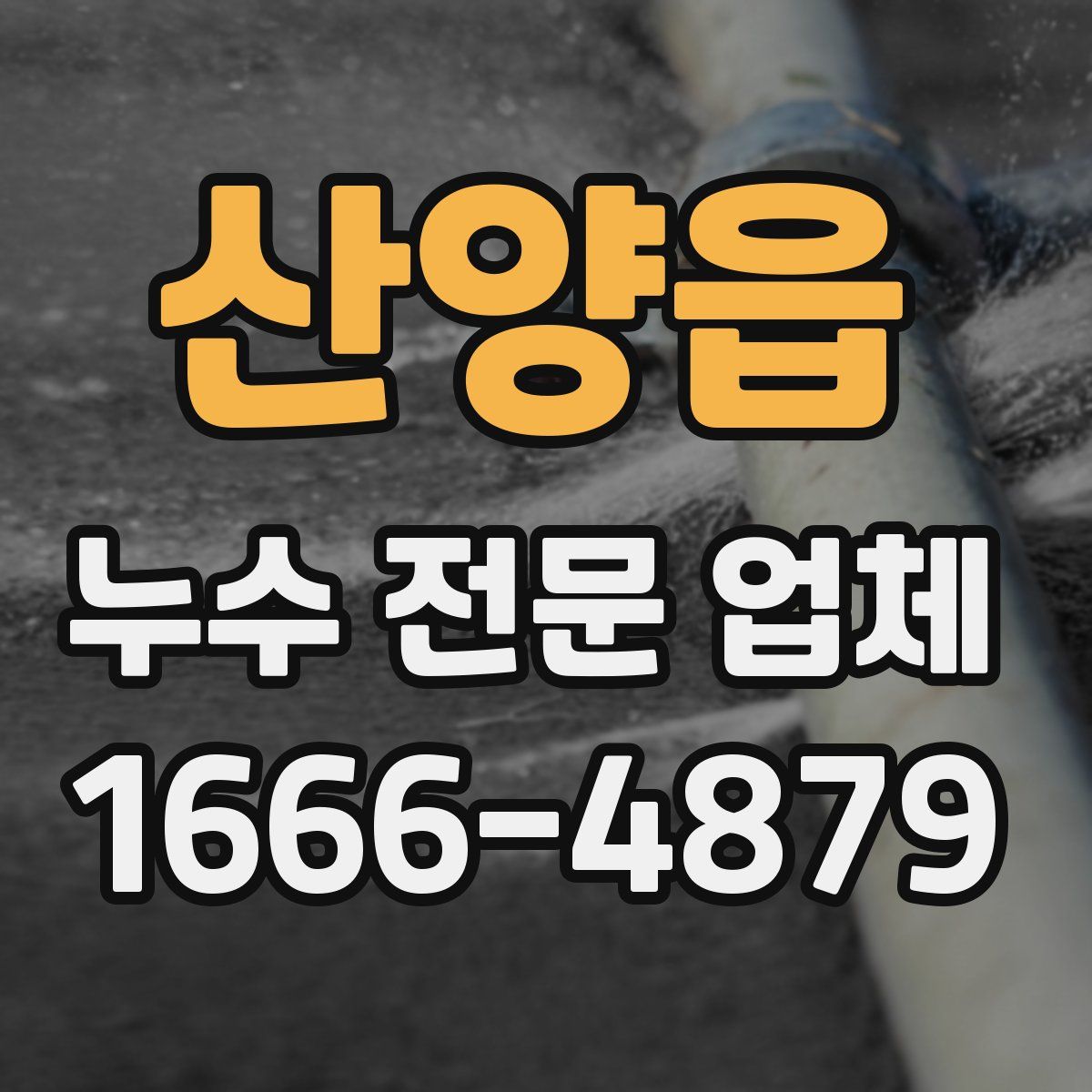산양읍 누수 전문 업체