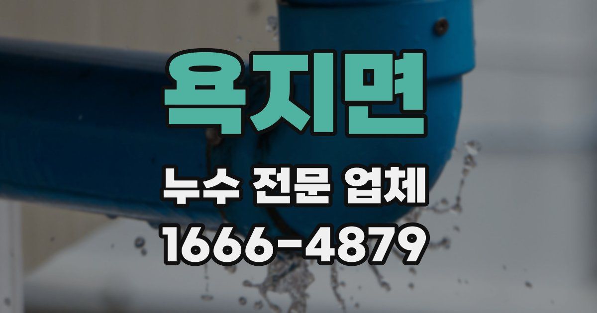 욕지면 누수 전문 업체