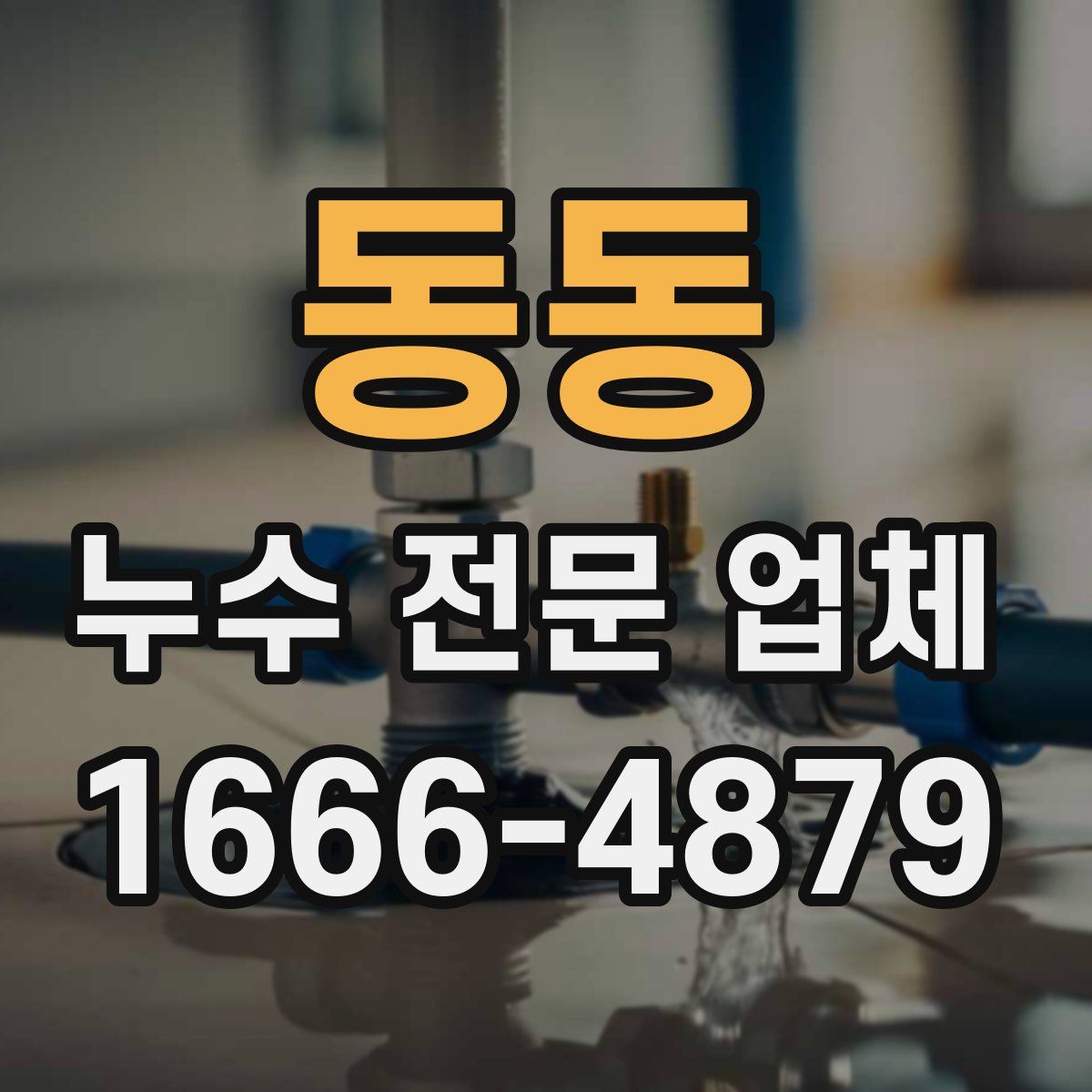 동동 누수 전문 업체