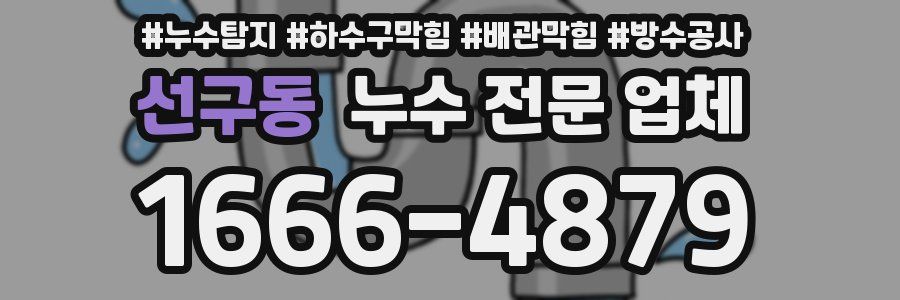 선구동 누수 전문 업체