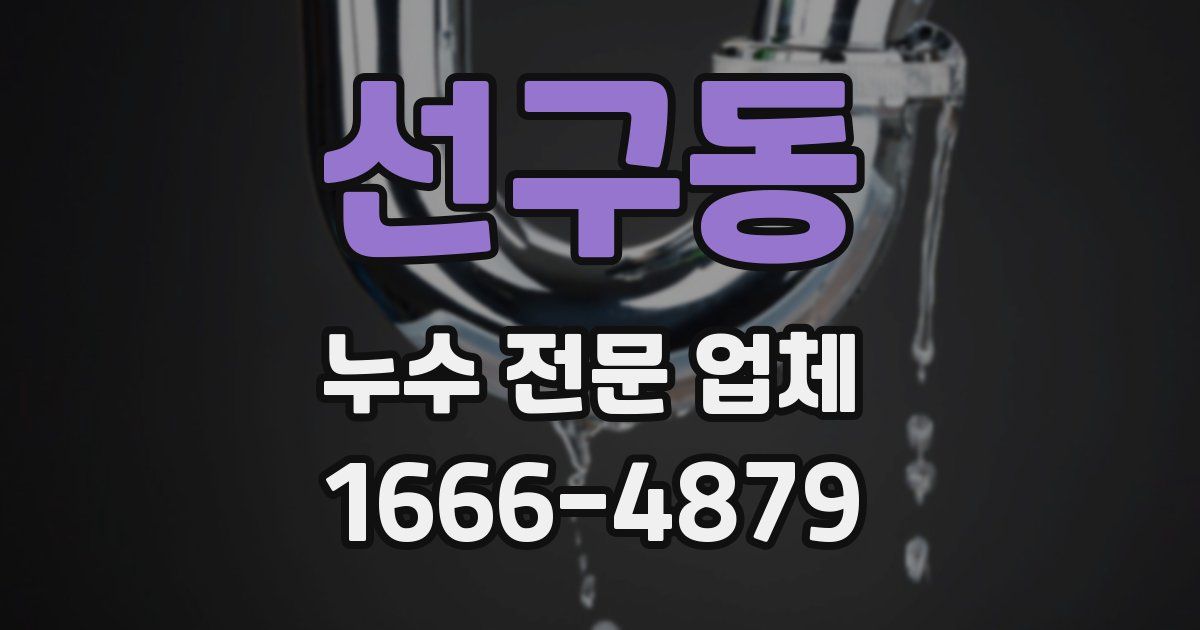 선구동 누수 전문 업체