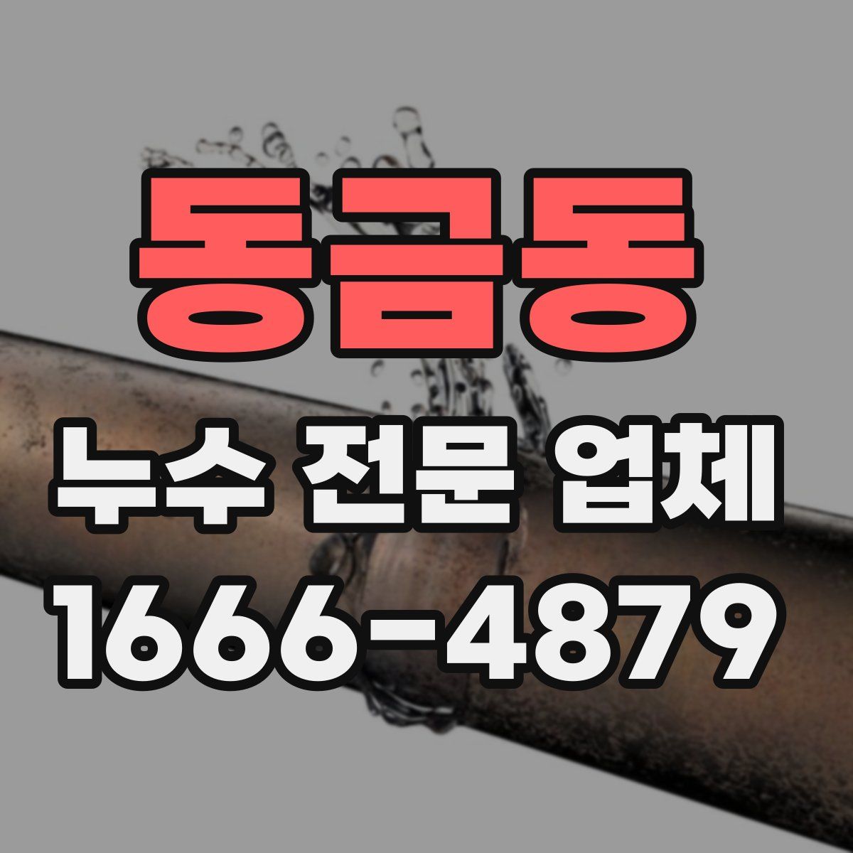 동금동 누수 전문 업체