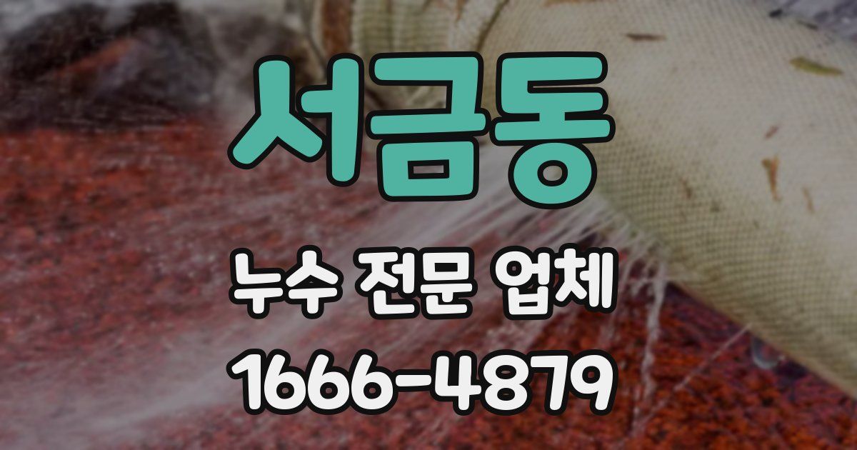 서금동 누수 전문 업체
