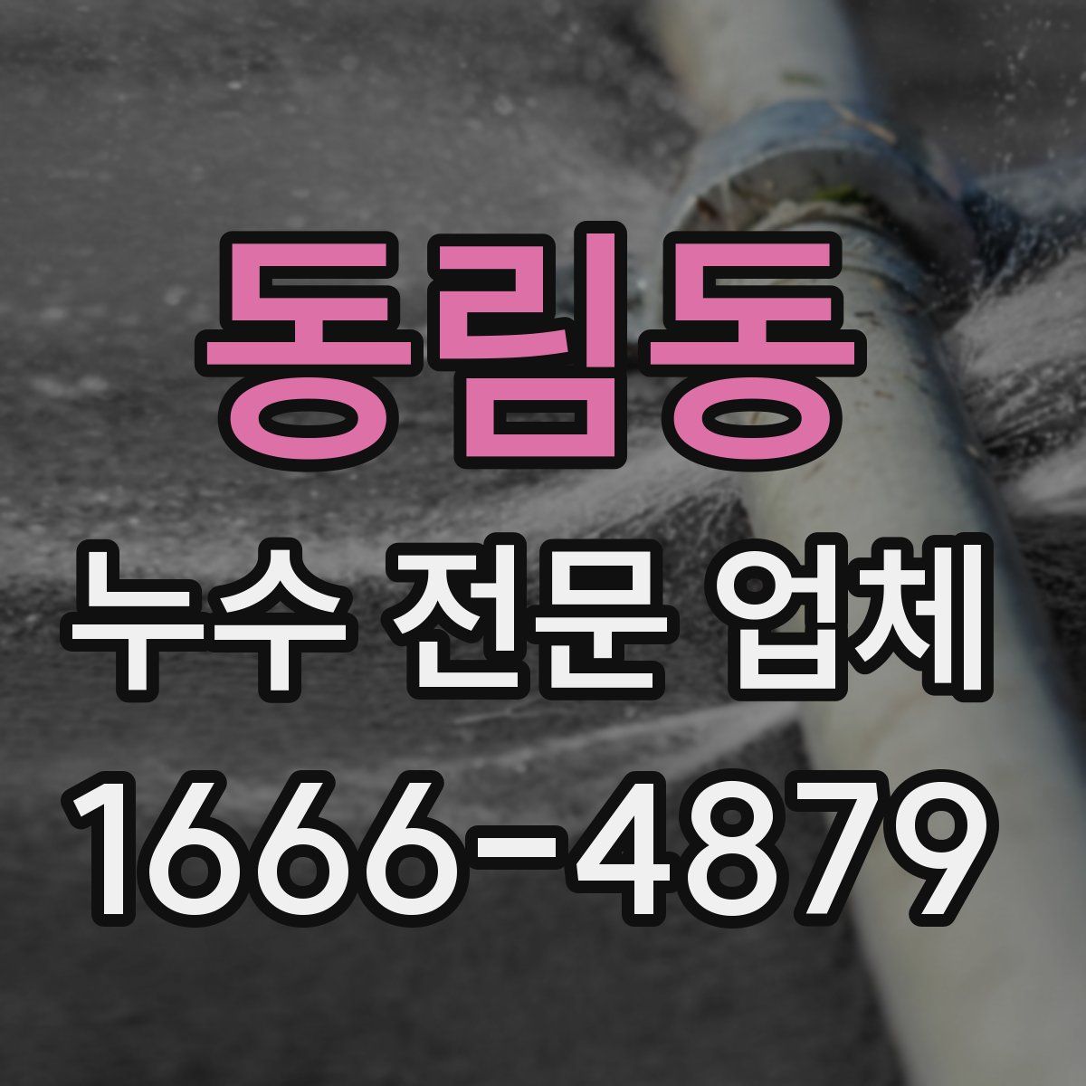 동림동 누수 전문 업체