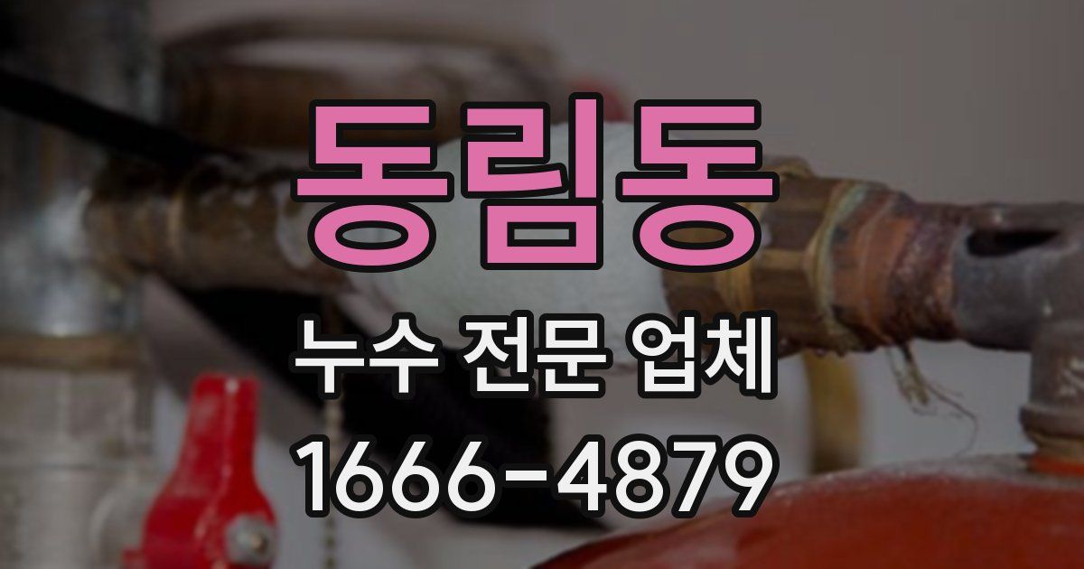 동림동 누수 전문 업체