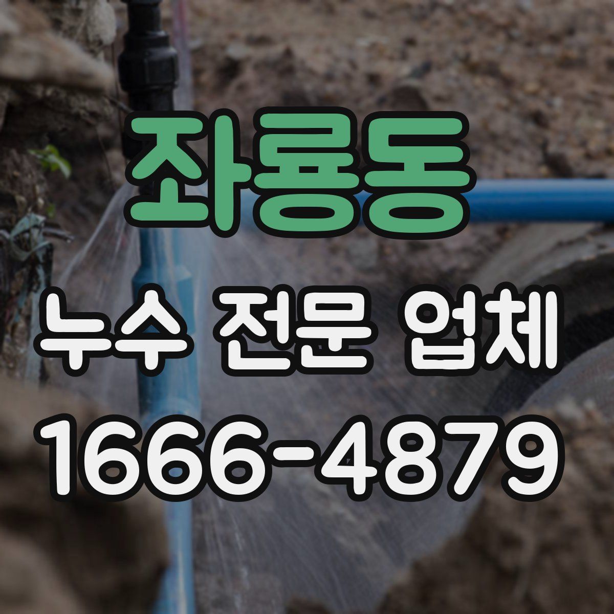 좌룡동 누수 전문 업체