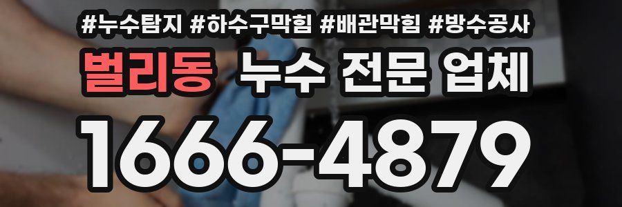 벌리동 누수 전문 업체