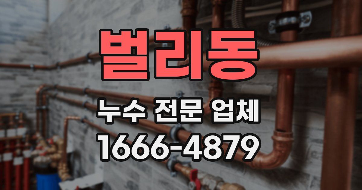 벌리동 누수 전문 업체