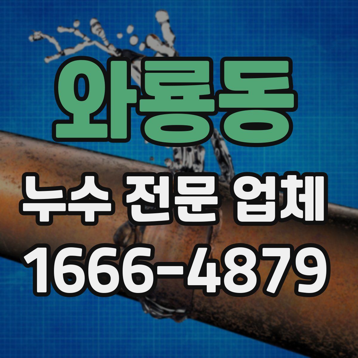 와룡동 누수 전문 업체