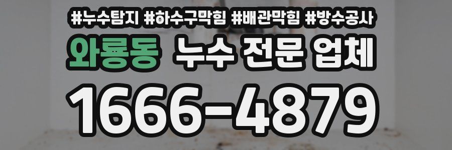 와룡동 누수 전문 업체