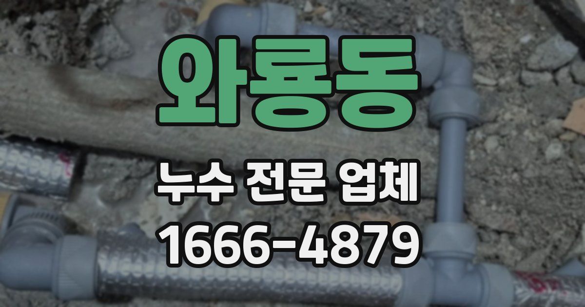와룡동 누수 전문 업체