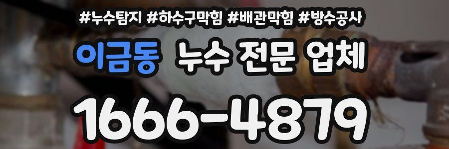 이금동 누수 전문 업체